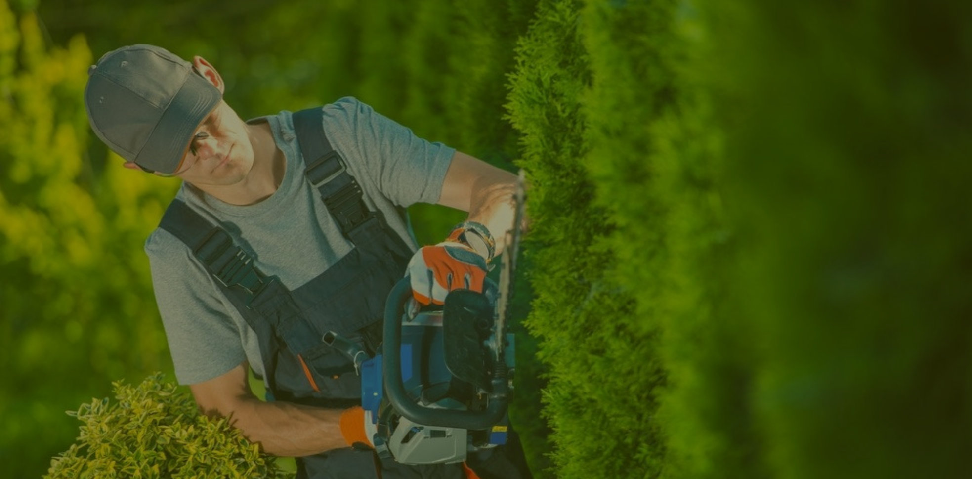 estudiar jardinería online